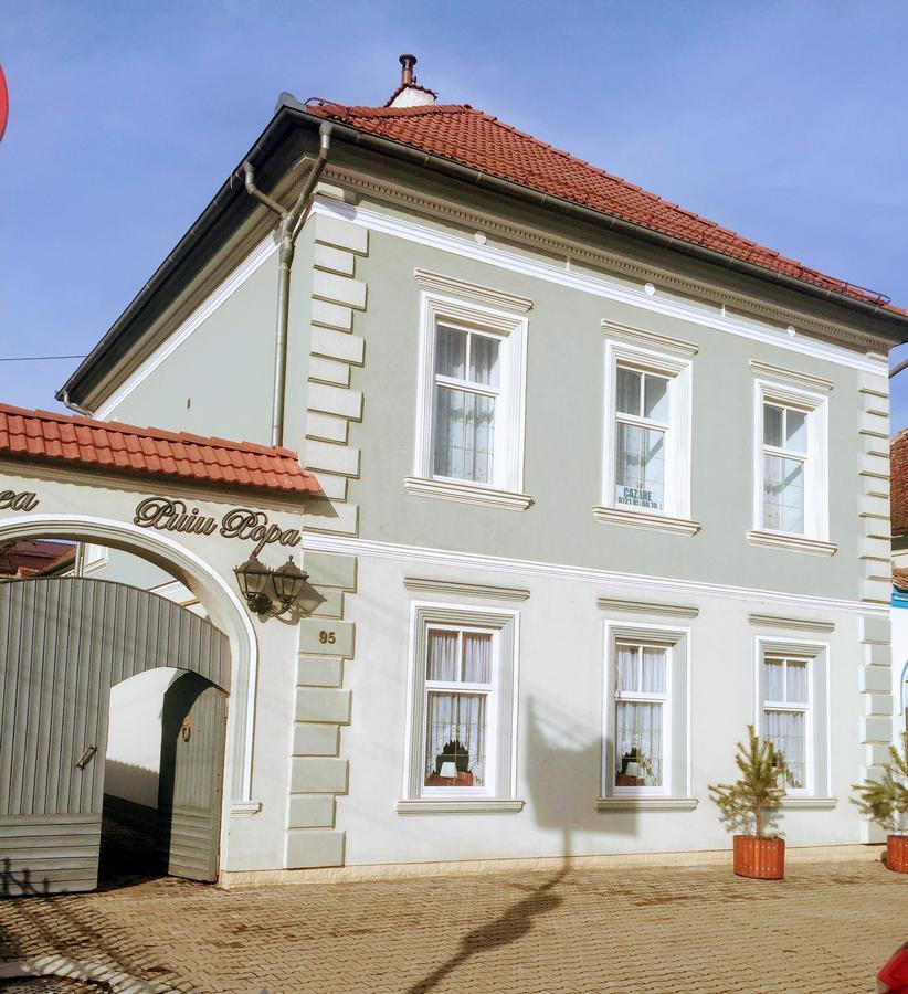 Pensiunea Puiu Popa Codlea Extérieur photo